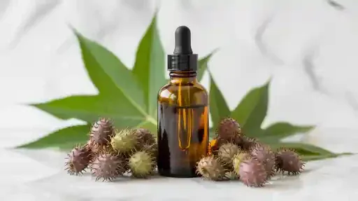 Pure organic castor oil in amber glass bottle surrounded by fresh castor beans